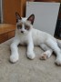Billy (1)9